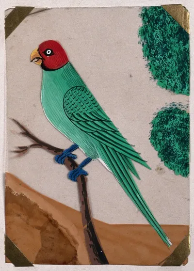 A parrot perched on a branch
