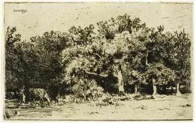 A Part of the Forest of Fontainebleau