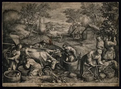 A pastoral scene showing the picking, treading and transporting of grapes in an ox-cart; representing autumn