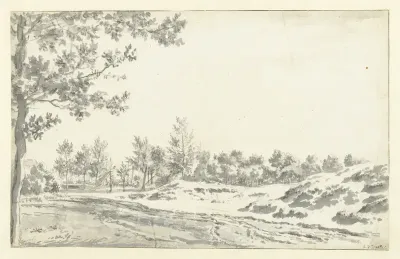 A Path along Sand Hills and Trees