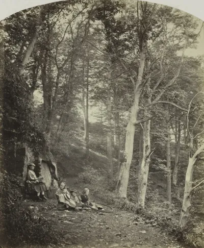 A Path Through a Wood