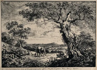 A path, with two cows on the left of it and a blasted tree on the right