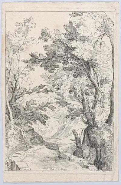 A Pathway with a Parapet in a Forest
