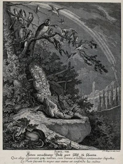 A peacock is bitten to death by a weasel with an apprehensively looking crowd of birds watching the gruelling scene from the safety of tree