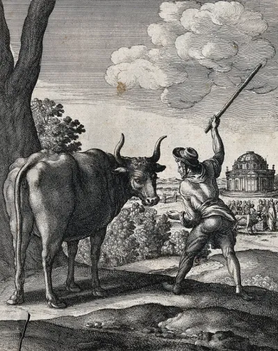 A peasant is raising his stick to drive on an ox