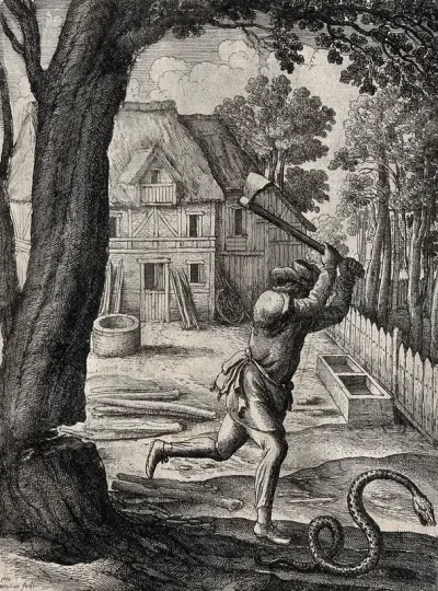 A peasant who was cutting down a tree turns his axe on a passing snake