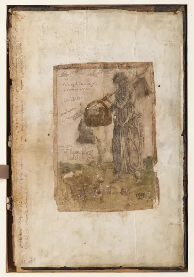 A peasant woman going to market