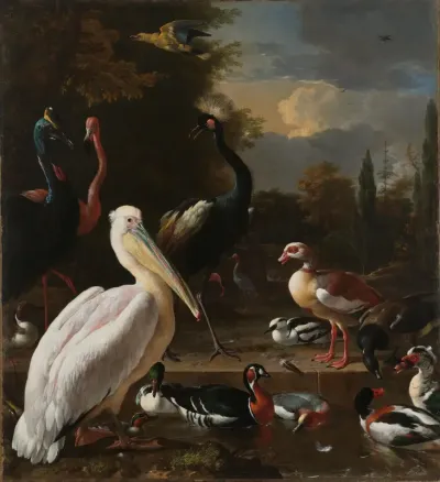 A Pelican and other Birds near a Pool, Known as ‘The Floating Feather’