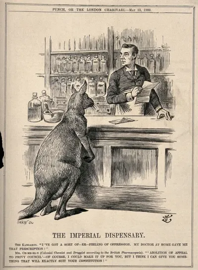 A pharmacist making up a prescription for a kangaroo; representing Chamberlain's advocacy of the Commonwealth of Australia