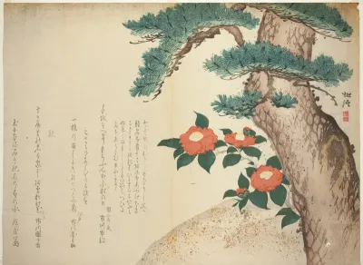 A Pine Tree and Camellias