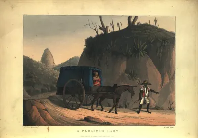 A pleasure cart