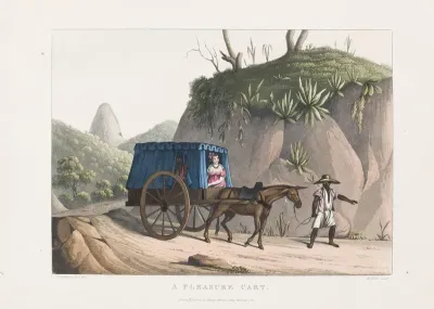 A pleasure cart