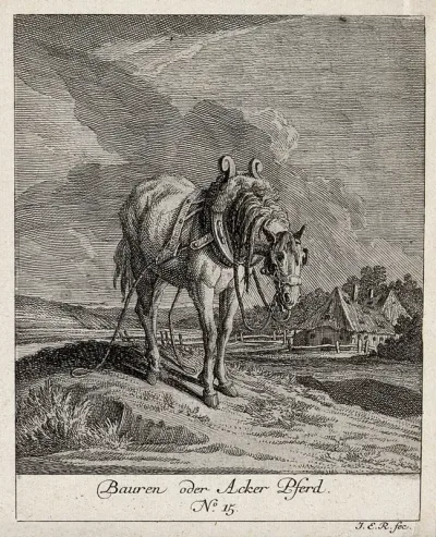 A plough horse standing in a field with a farm house in the background