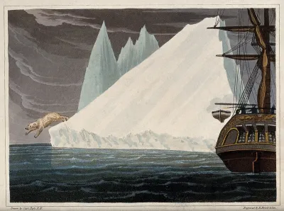 A polar bear plunges into the sea from a very steep iceberg while fishermen look on from a nearby trawler