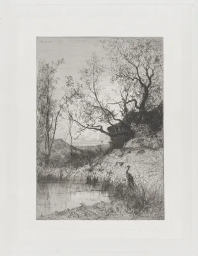 A Pond