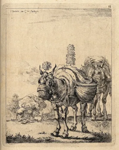 A procession of travelling donkeys with saddle-bags and nose-bags