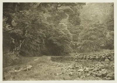 A Quiet Nook in Beresford Dale