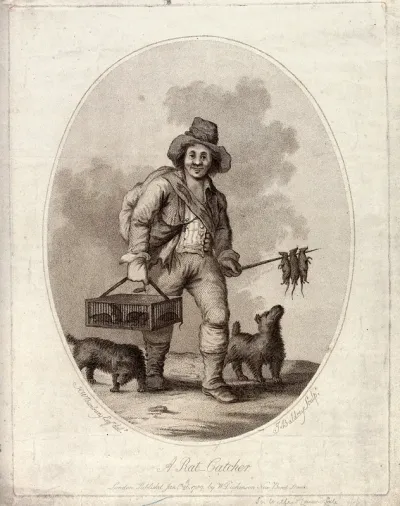 A rat-catcher (accompanied by two dogs) carrying a cage of live rats in his right hand and a sharpened wooden stick with dead rats dangling from it in his left