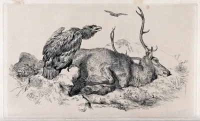 A raven (?) perched on a rock beside a dead or dying stag, in a mountainous landscape