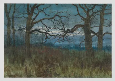 A Recollection of Stevington, Bedfordshire–A Spinney in December