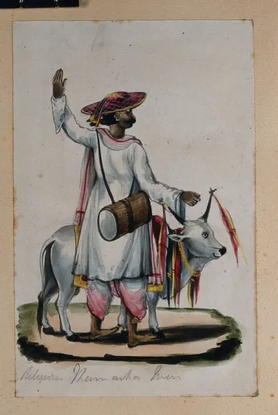 A religious man carrying a drum, standing next to a cow