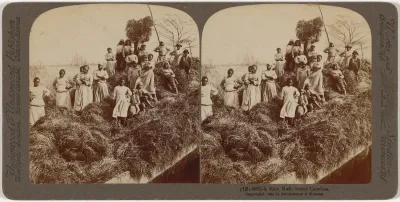 "A Rice Raft, South Carolina"
