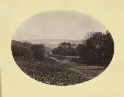 A Road in Williamstown