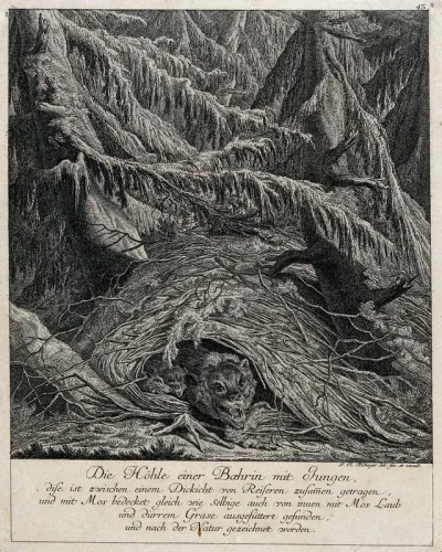 A roaring she-bear protecting her cubs in their lair in the forest