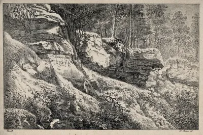 A rocky outcrop with trees above