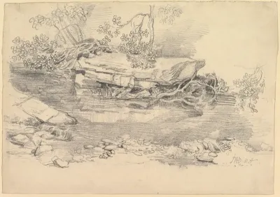 A Rocky Stream or River