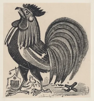 A rooster