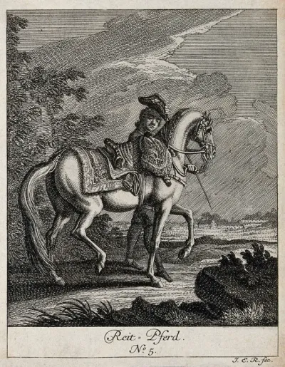 A saddle-horse with the horseman holding the reins