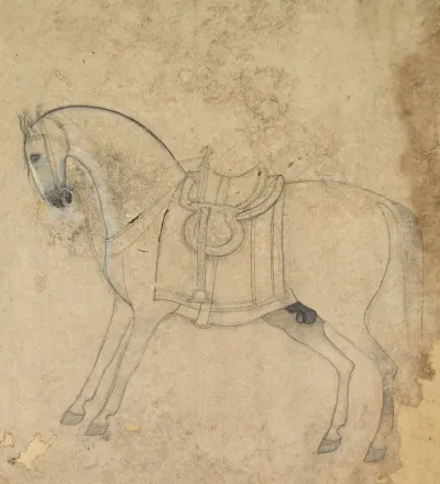 A saddled horse