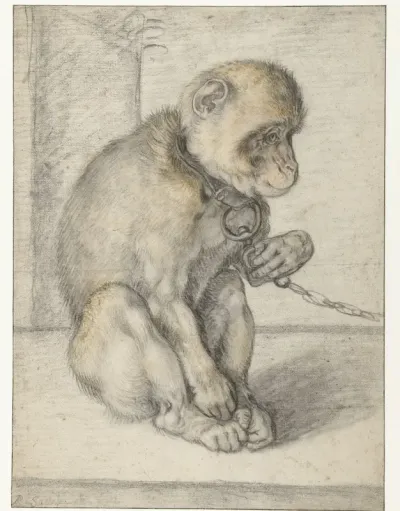 A Seated Monkey on a Chain