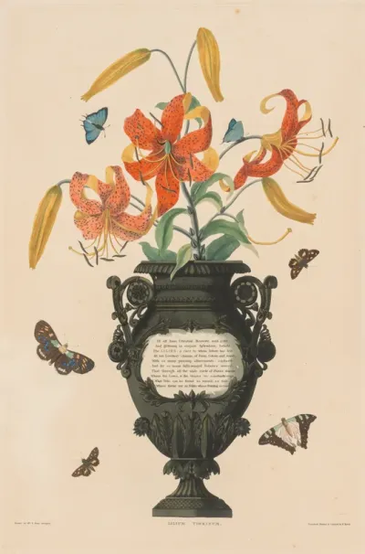 A Selection of Hexandrian Plants, Belonging to the Natural Order of Amaryllidae, 1831