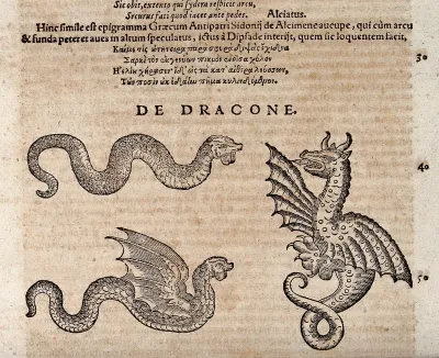 A serpent, a winged serpent and a dragon