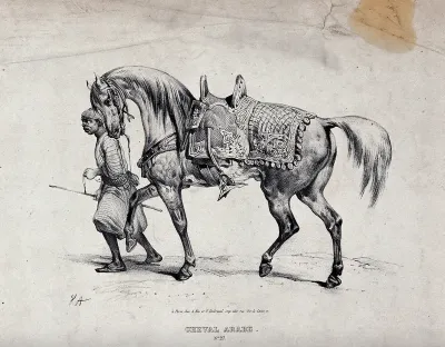 A servant leading an Arab horse with a richly decorated saddle