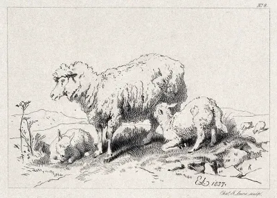 A sheep with two lambs on a meadow