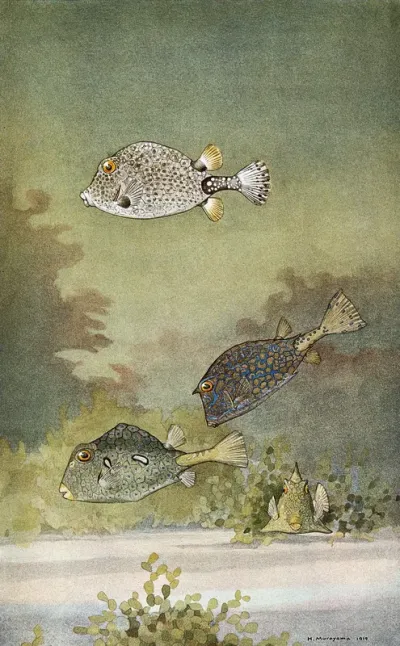 A shell fish, a cow fish and a buffalo trunk fish swimming in the sea