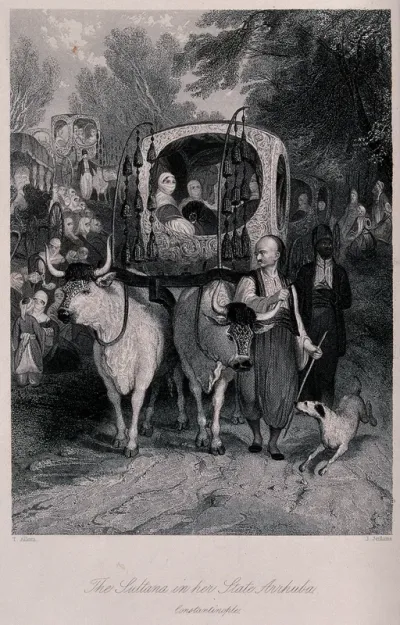 A sister of the Sultan of the Ottoman empire being conveyed in her official carriage drawn by two oxen