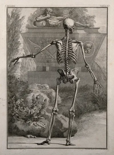 A skeleton, back view, standing with left arm extended, with a tomb seen in the background