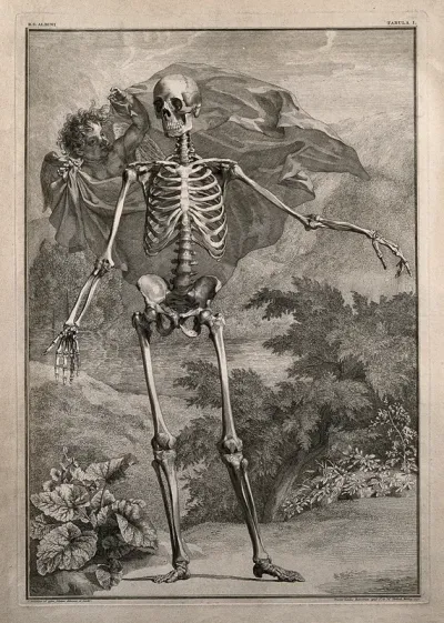 A skeleton, front view, standing with left arm extended, in a pastoral setting