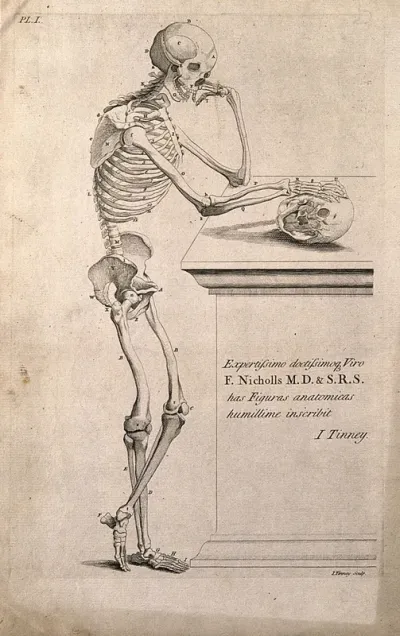 A skeleton leaning on a spade