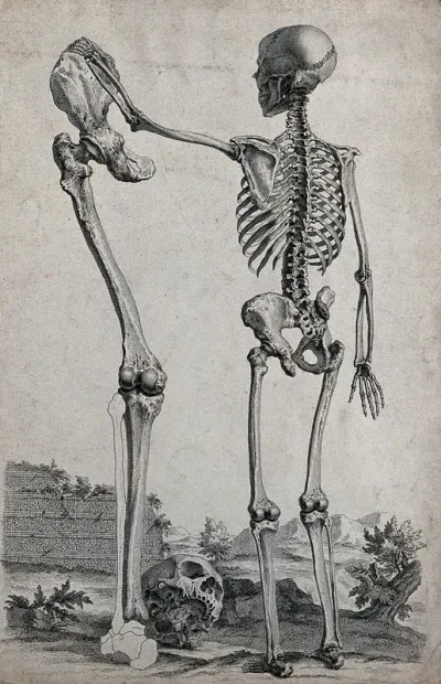 A skeleton standing in a landscape, reaching out to touch the pelvis of a standing lower limb of much greater size