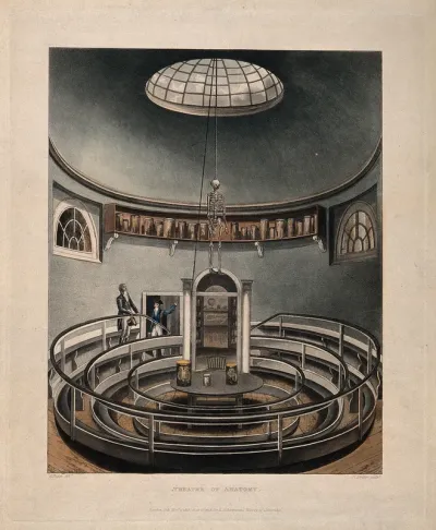 A sky-lit anatomy theatre with anatomical specimens in jars and a suspended skeleton