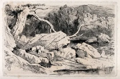 A sleeping dog by a lakeside