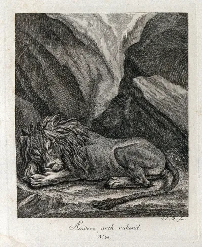 A sleeping lion in a mountainous landscape