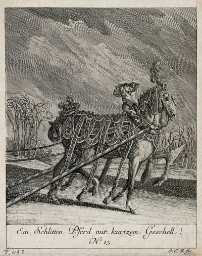 A sleigh-horse with an elaborately ornamented harness