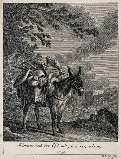 A small donkey loaded with two full baskets standing outside a forest