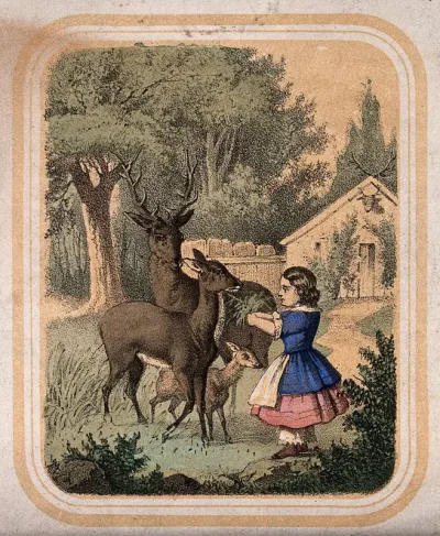 A small girl is feeding leaves to deer in a garden outside a cottage